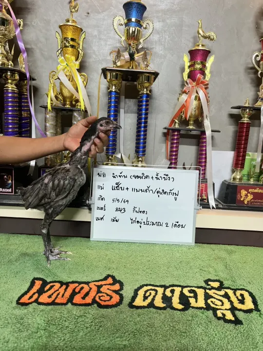ทอง843
