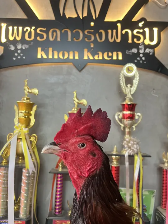 ภาพประกอบ เจ้า นำทัพ 1