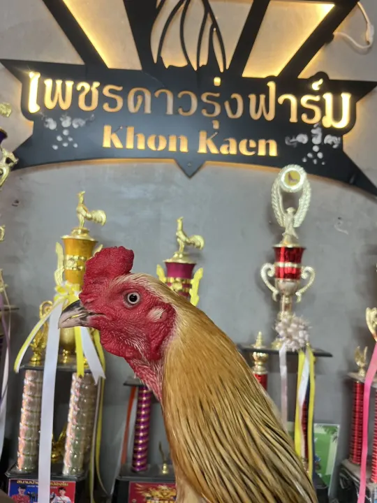 ภาพประกอบ เจ้า เพชรเอก 3